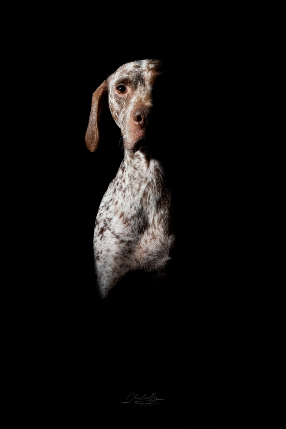 Runa De La Lande De Bourberouge